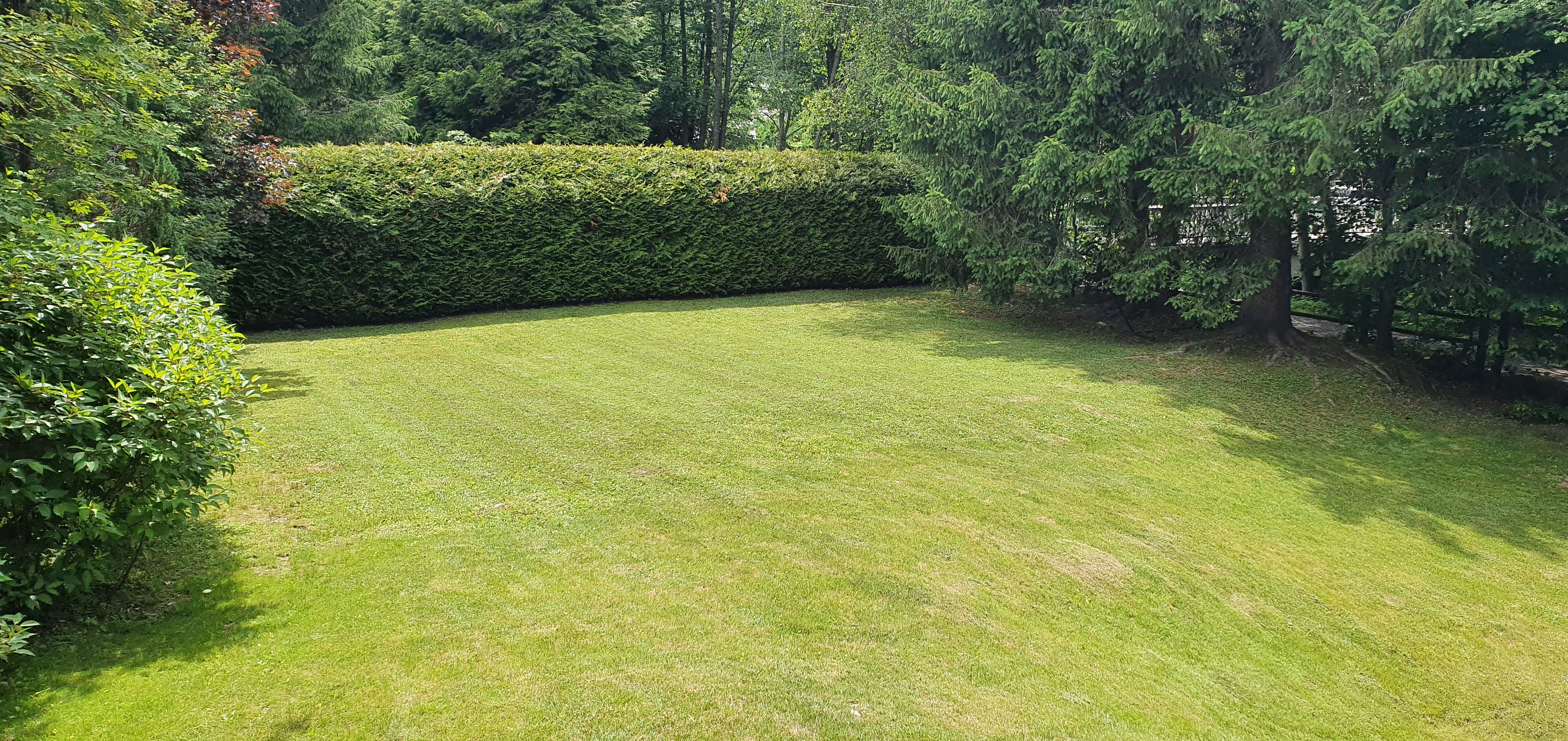 Les Praz garden lawn